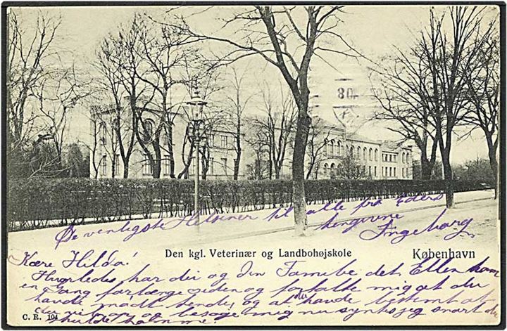 Den kgl. Veterinær og Landbohøjskole i København. C.R. no. 104.