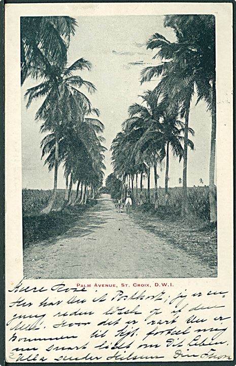 2 cents Våben på brevkort (Palm Avenue, St. Croix) fra St. Thomas d. 4.4.1905 til Kjøbenhavn, Danmark. Ank.stemplet Kjøbenhavn d. 21.4.1905.