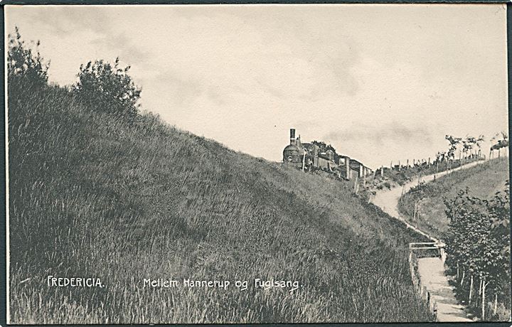 Fredericia, lokomotiv på vej mellem Hannerup og Fuglsang. H.C. Wenk no. 5450. Kvalitet 8