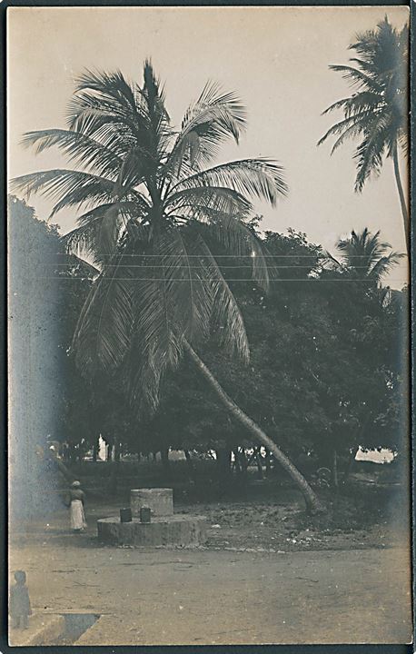 D.V.I., St. Croix, Christiansted, old public spring. Fotokort u/no. Kvalitet 8