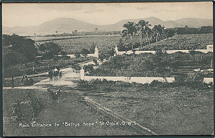 D.V.I., St. Croix, Bettys Hope, hovedindgangen til. A. Ovesen no. 15. Kvalitet 8