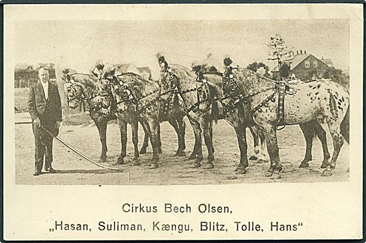 Cirkus. Bech Olsen med hestene: Hasan, Suliman, Kængu, Blitz, Tolle og Hans. Centraltrykkeriet u/no. Kvalitet 7