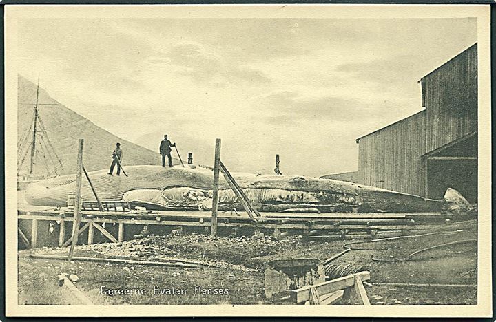 Hval flænses på hvalstation på Færøerne. Stenders no. 23915. Kvalitet 9