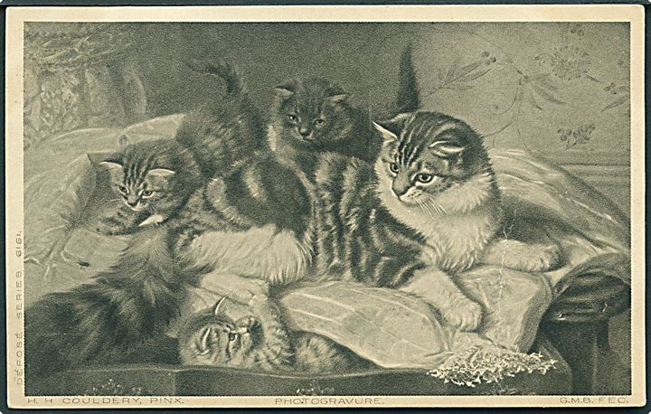 Kattemor med sine killinger. H. H. Couldery, Photogravure. G. M. B. FEC, serie 6161.