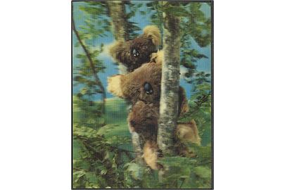 3 D kort med koalabjørne. U/no