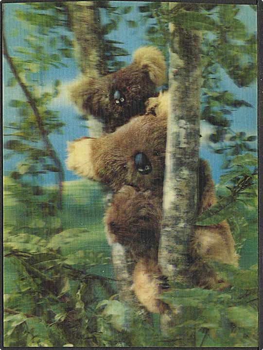 3 D kort med koalabjørne. U/no
