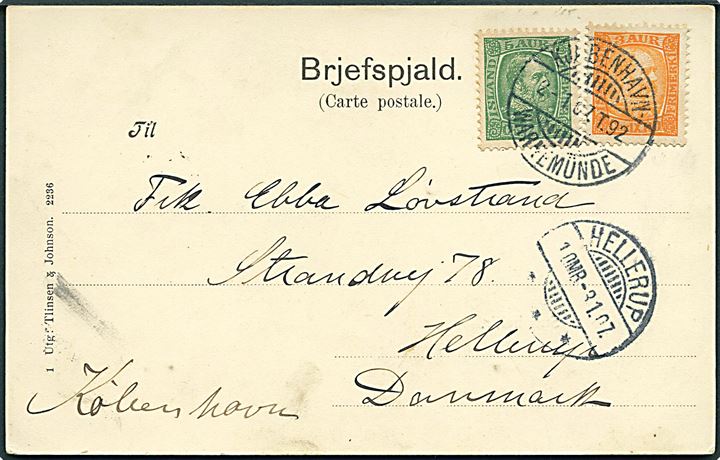 3 aur og 5 aur Chr. IX på brevkort (Surtshellir) fra S/S “Perwie” dateret på Island d. 21.12.1906 og annulleret med dansk bureaustempel Kjøbenhavn - Warnemünde T.92 d. 2.1.1907 til Hellerup, Danmark. 