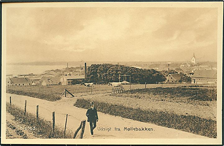 Udsigt fra Møllebakken, Thisted. Stenders no. 25422.