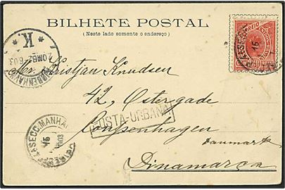 100 reis rød på postkort fra Brasilien d. 12.5.1903 til København.