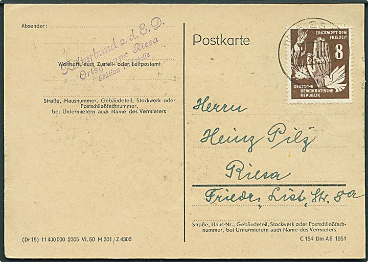 8 pfg. Fredsdag single på lokalt brevkort i Riesa d. 2.8.1951.