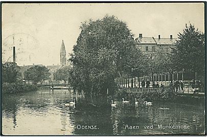Aaen ved Munkemose, Odense. Stenders no. 4478.