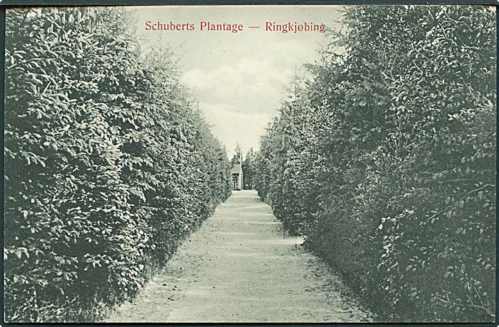 Schuberts Plantage i Ringkjøbing. Math. Christensen no. 917.