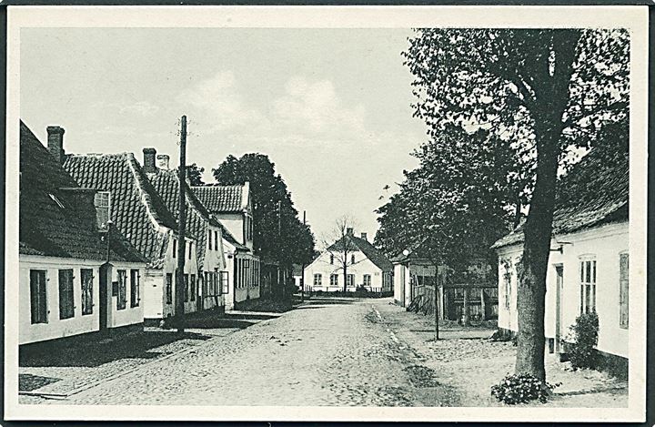 Bag Gaardene i Løgumkloster. Stenders no. 8.