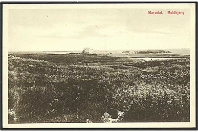 Marodal ved Muldbjerg. Stenders no. 45133.