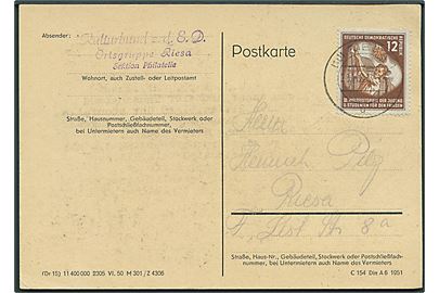 12 pfg. Ungdomsfredskongres single på lokalt brevkort i Riesa d. 28.11.1951.