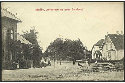 Amtsstuen og Østre Landevej i Maribo. W. & M. no. 550.