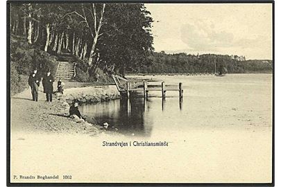 Strandvejen i Christiansminde. P. Brandt no. 1062.