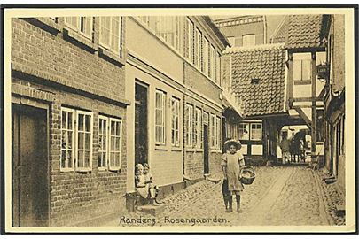 Parti fra Rosengaarden i Randers. Stenders no. 27876.