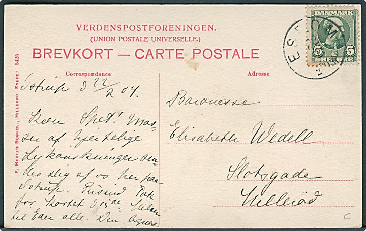 Banegaarden i Hillerød. F. Hertz's Boghandel no. 5425. Frankeret med 5 øre Chr. IX annulleret med lapidar Esrom d. 22.2.1904. 
