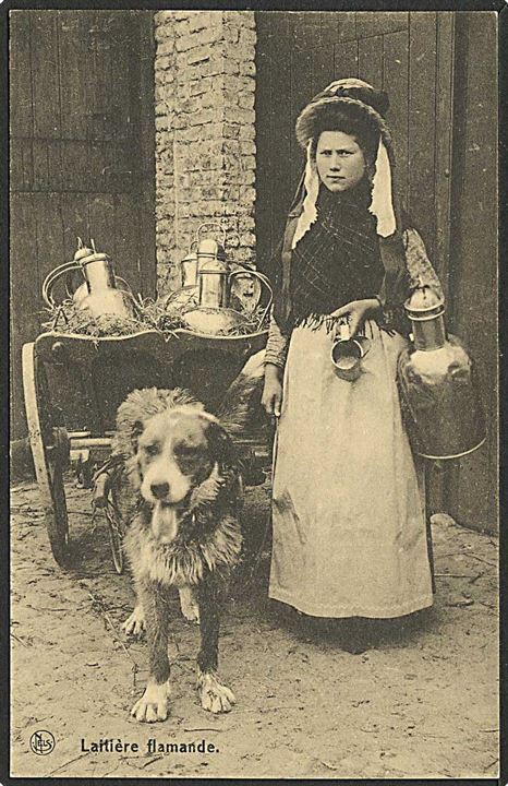 Belgisk mælkehandler med hundetrukket vogn. E. Thill no. 7.