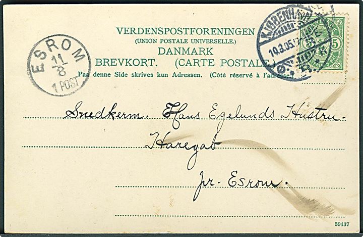 5 øre Våben på brevkort (Københavns Raadhus set fra Tivoli) fra Kjøbenhavn d. 10.8.1905 til Haregab pr. Esrom. Ank.stemplet med lapidar Esrom d. 11.8.1905.