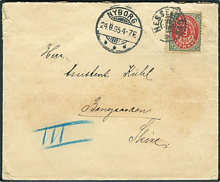 8 øre Tofarvet på brev annulleret med stjernestempel HESSELAGER og sidestemplet Nyborg d. 24.8.1895 til Skive.