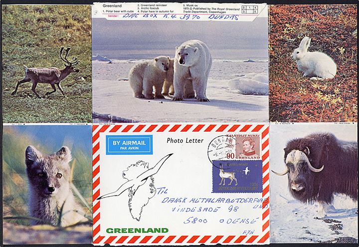 90 øre Margrethe og Julemærke 1974 på Photo Letter fra Dundas d. 9.12.1974 til Odense.