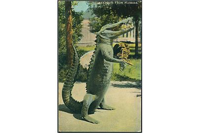 Greetings From Florida med Krokodille. H. & W.B Drew Co. no. 1260.