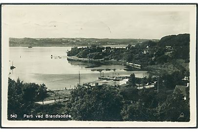 Parti ved Brøndsodde. Fotokort no. 540.