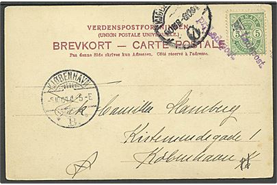 5 øre Våben på brevkort fra Vordingborg annulleret med violet liniestempel pr. Ladepost og sidestemplet Kjøben-havn B. d. 6.10.1904 til København.