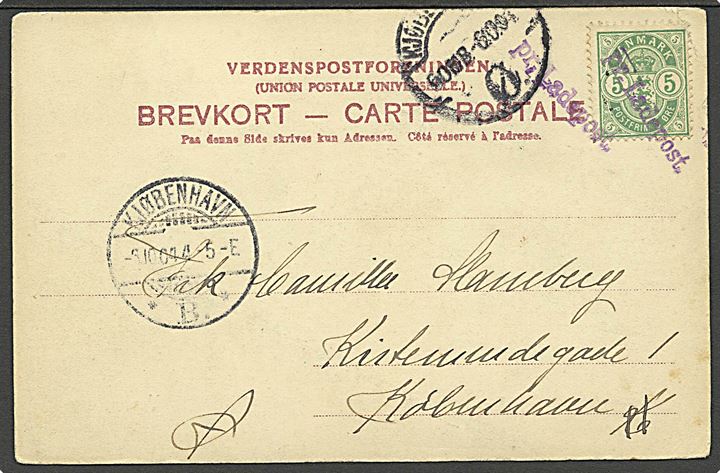 5 øre Våben på brevkort fra Vordingborg annulleret med violet liniestempel pr. Ladepost og sidestemplet Kjøben-havn B. d. 6.10.1904 til København.