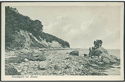 Strandparti fra Æbelø. Niels Ehlert no. 1342/13.