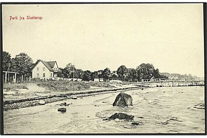 Strandparti fra Skotterup. No. 1599.