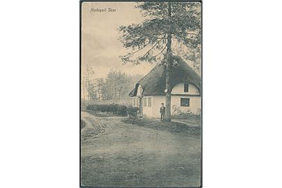 Hindsgavl Skov med hus. Peter Alstrups no. 611. 