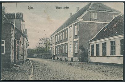Ribe, Bispgaarden. P. Alstrup no. 2666.