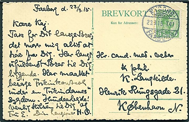 5 øre Chr. X på brevkort fra Faaborg annulleret med bureaustempel Nyborg - Faaborg T.41 d. 23.9.1915 til København.