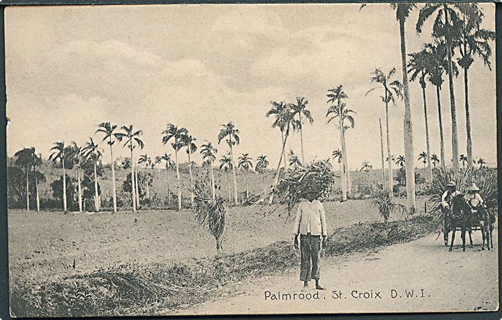D.V.I., St. Croix, palmroad. A. Ovesen no. 13.