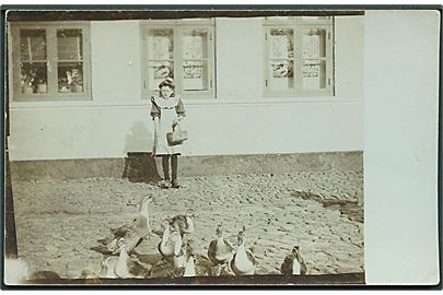 Pige fodrer gæs. Sted ukendt. Fotokort u/no. 