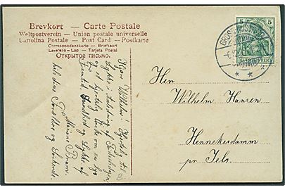 5 pfg. Germania på brevkort stemplet Gross-Nustrup d. 6.12.1907 til Jels.