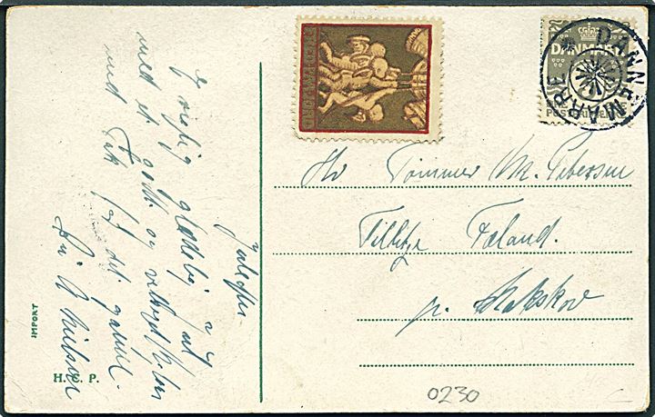 3 øre Bølgelinie og Julemærke 1917 på lokalt julekort annulleret med stjernestempel DANNEMARE til Tillitze pr. Nakskov.