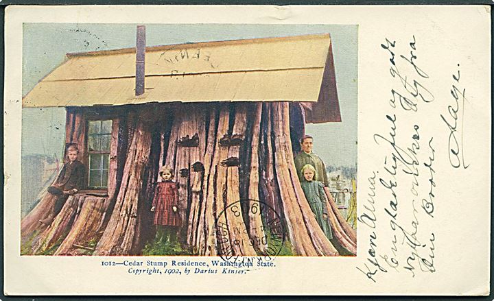 Cedar Stump Residence, Washington State. Darius Kinsey no. 1012. 