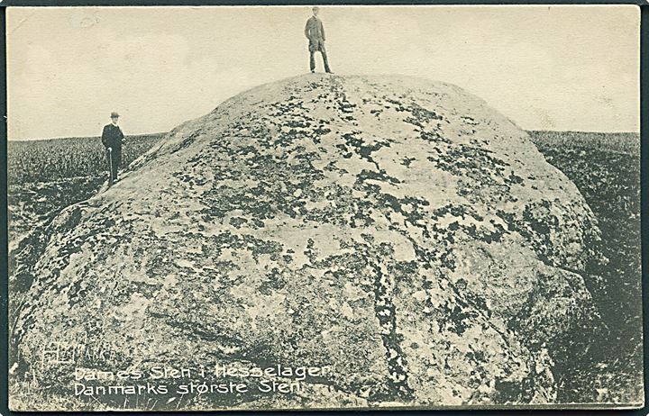 Dames Sten i Hesselager. Danmarks største sten. Stenders no. 7966. (Har været opklæbet). 