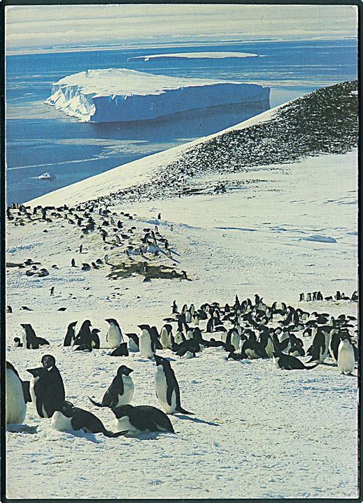 South Africa 85 c. på brevkort (Adeliepingviner på Antarktis) stemplet Cape Town Paquebot d. 16.3.1994 og sidestemplet: SWEDARP *** Rieber Shipping A/S - M/V Polar Queen *** 1993/1994. SWEDARP = Swedish Antarctic Research Programme) til Strömstad, Sverige.