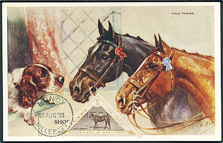 1 puffin Hest på maxikort stemplet Lundy Millenary d. 20.8.1955 til Reading.