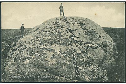 Hesselager, Dames sten (Danmarks største sten). Stenders no. 7966. 