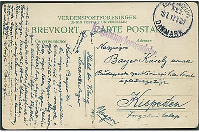 Ufrankeret brevkort med liniestempel Krigsfangeforsendelse og brotype IIIb Krigsfangelejr No. 2 Danmark d. 18.6.1917 til Kispesten, Ungarn. Fra ungarsk fange i lazaretlejren ved Hald.