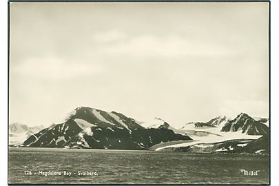 Svalbard. Magdalena Bay. Mittet & Co. no. 126. Fotokort. 